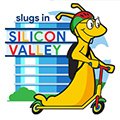 Silicon Valley Sammy
