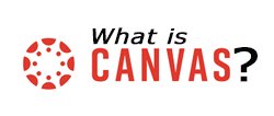 what-is-canvas-250 copy.jpg