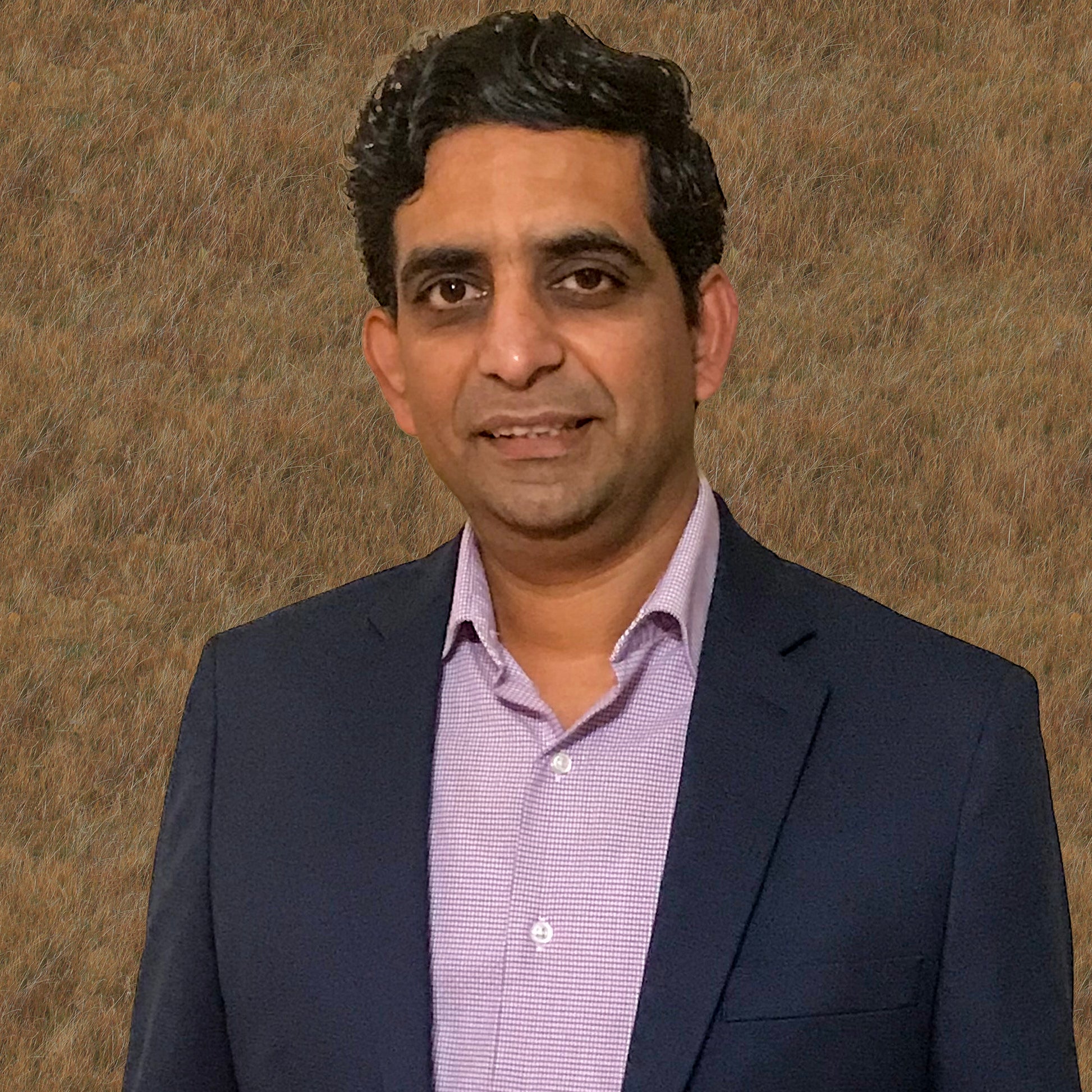 Partha Padmanabhan, Instructor and Chair of the Data Science and Data Analysis Certificate Program