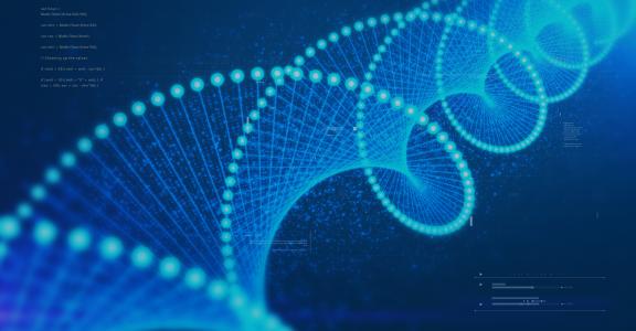DNA structure and all the data within it