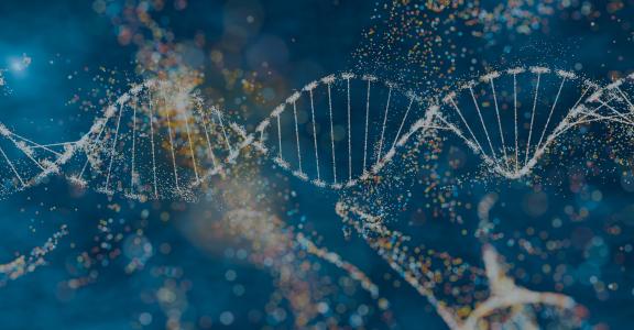 3D illustration of a DNA molecule with sparkling effects symbolizing complexity and genetic diversity.