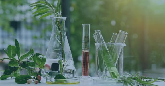 Natural organic and lab testing setup in glassware, laboratory and development concept.