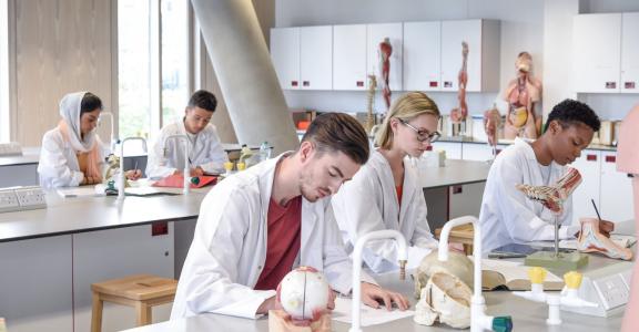 Biology students working in laboratory, learning about the h