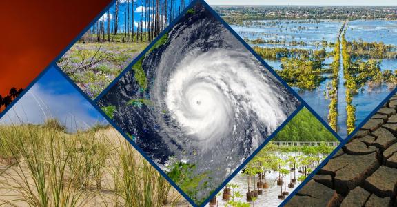 Coastal Sustainability & Resilience Series: image of hurrica