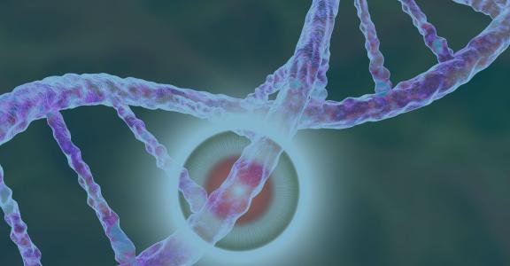 purple 3d dna structure