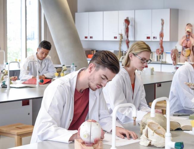 Biology students working in laboratory, learning about the h