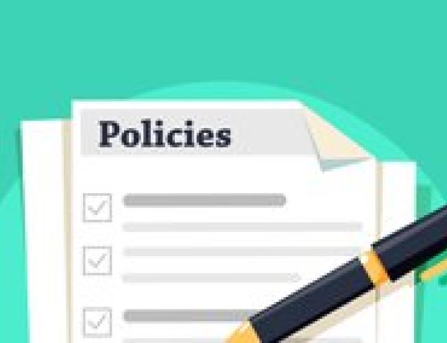 Policy icon
