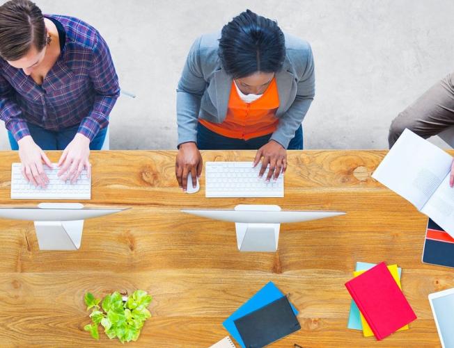Project and Program Management