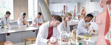Biology students working in laboratory, learning about the h