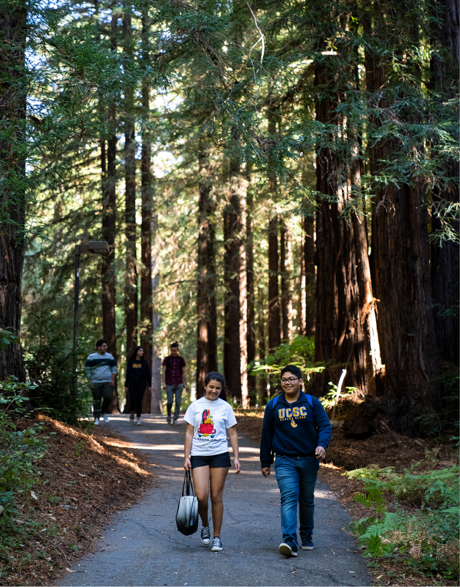 Two students walking down a road in between the redwoods on the UCSC campus