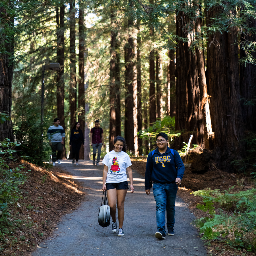 Two students walking down a road in between the redwoods on the UCSC campus