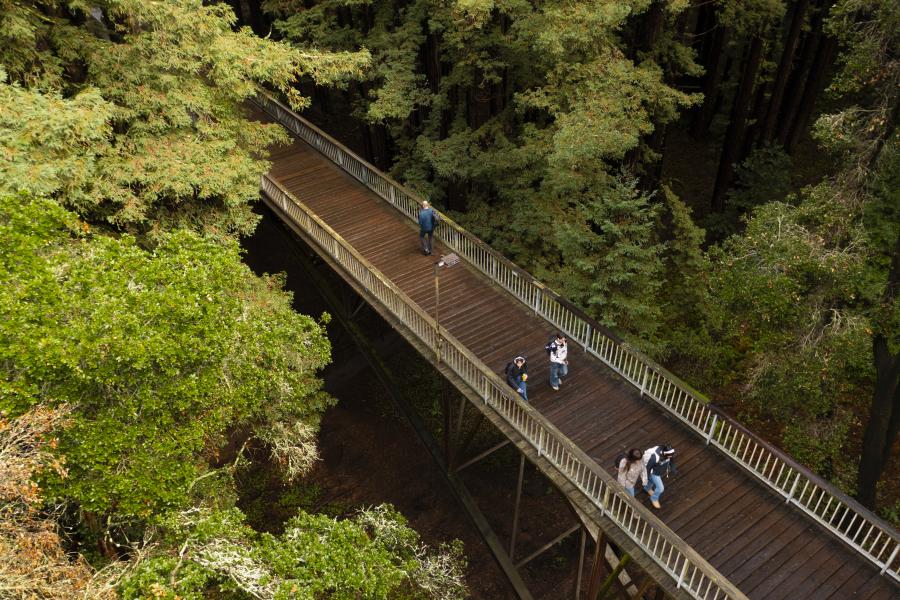 Aerial image of students crossing wooden bridge in forest